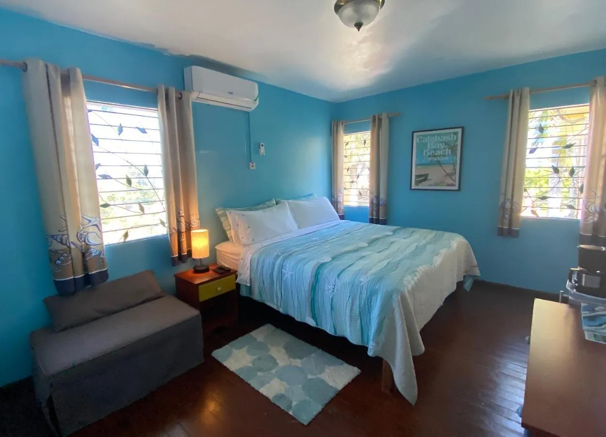 Frühstückspension The Blue Orchid B&B Montego Bay